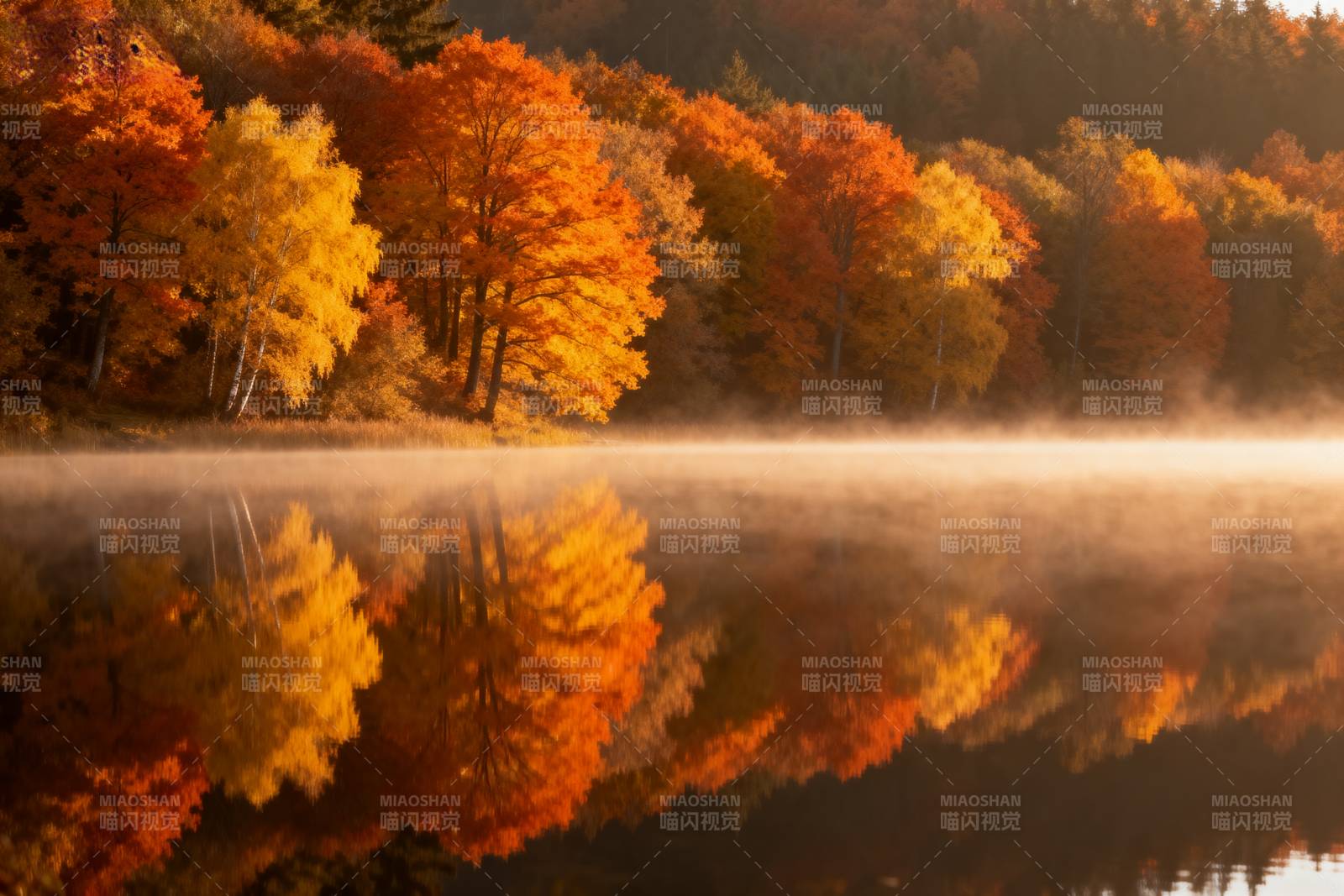 秋湖晨雾映彩林图片