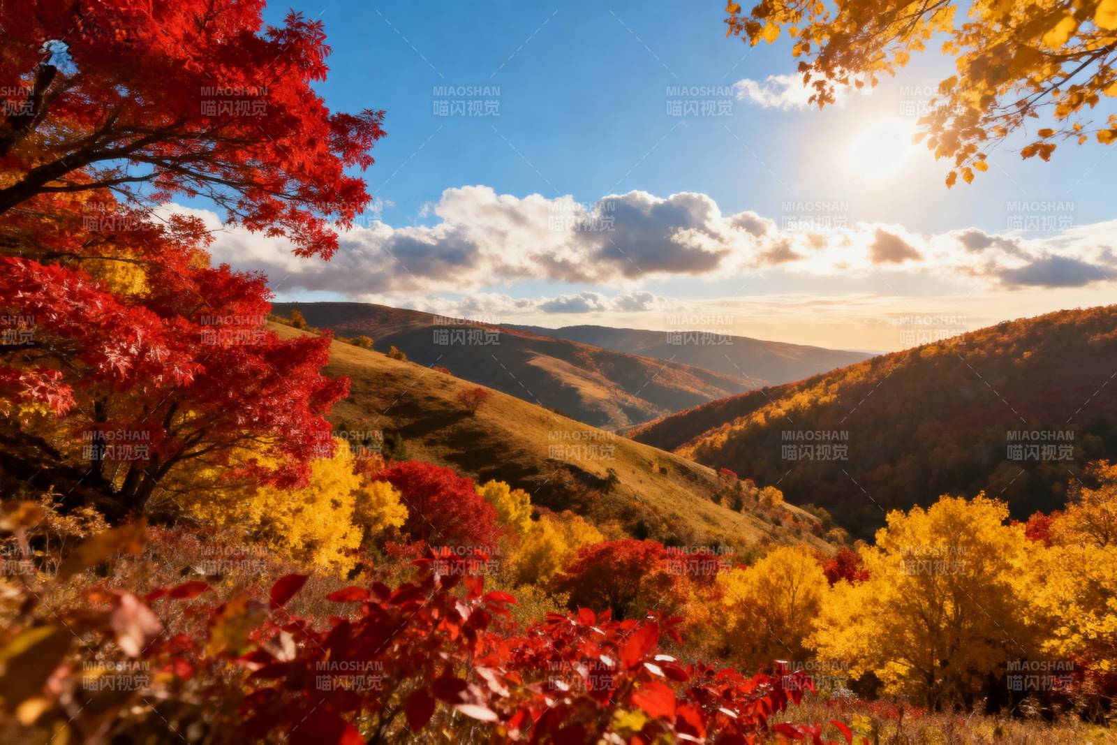秋山红叶映斜阳图片