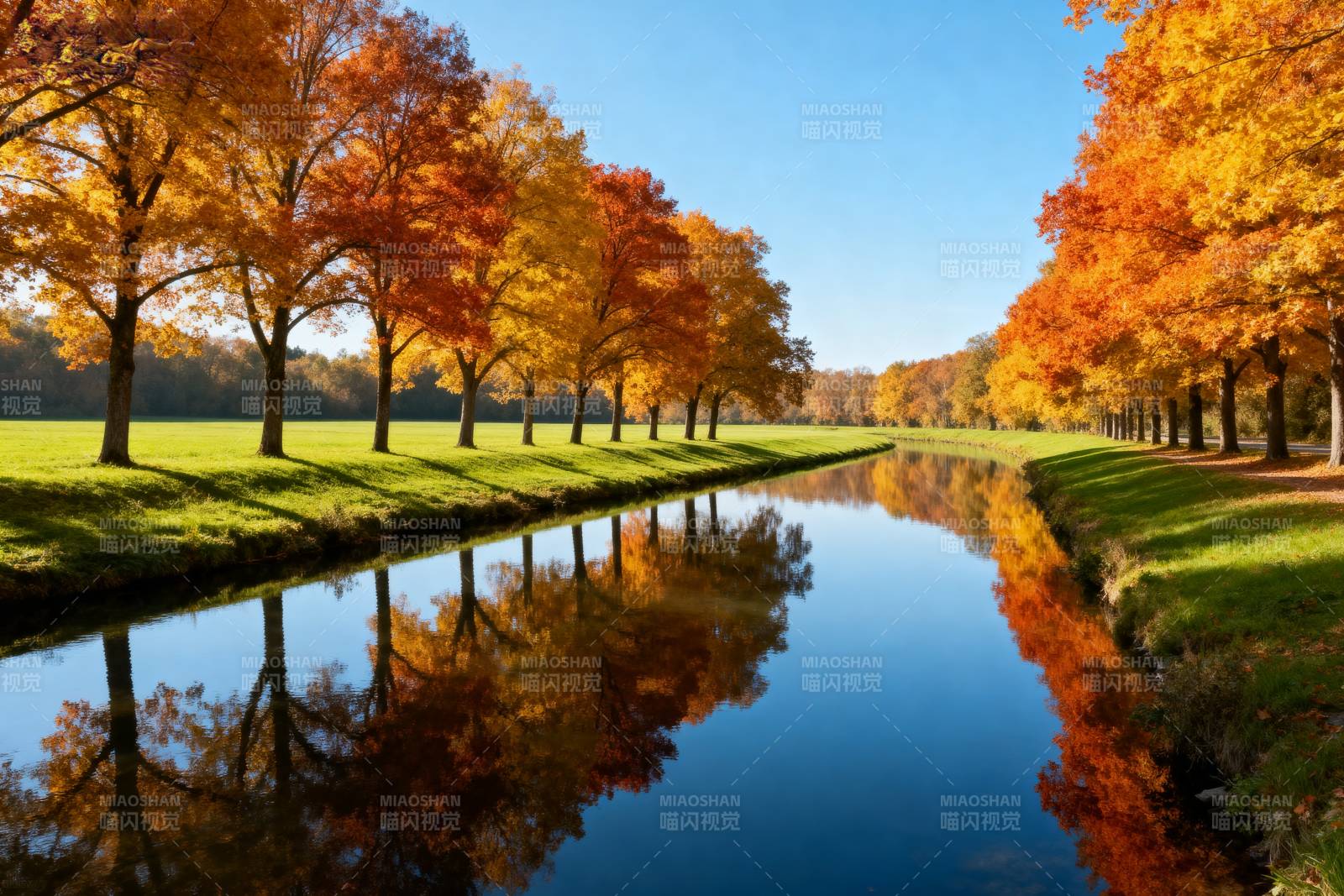 秋日湖畔树影图片