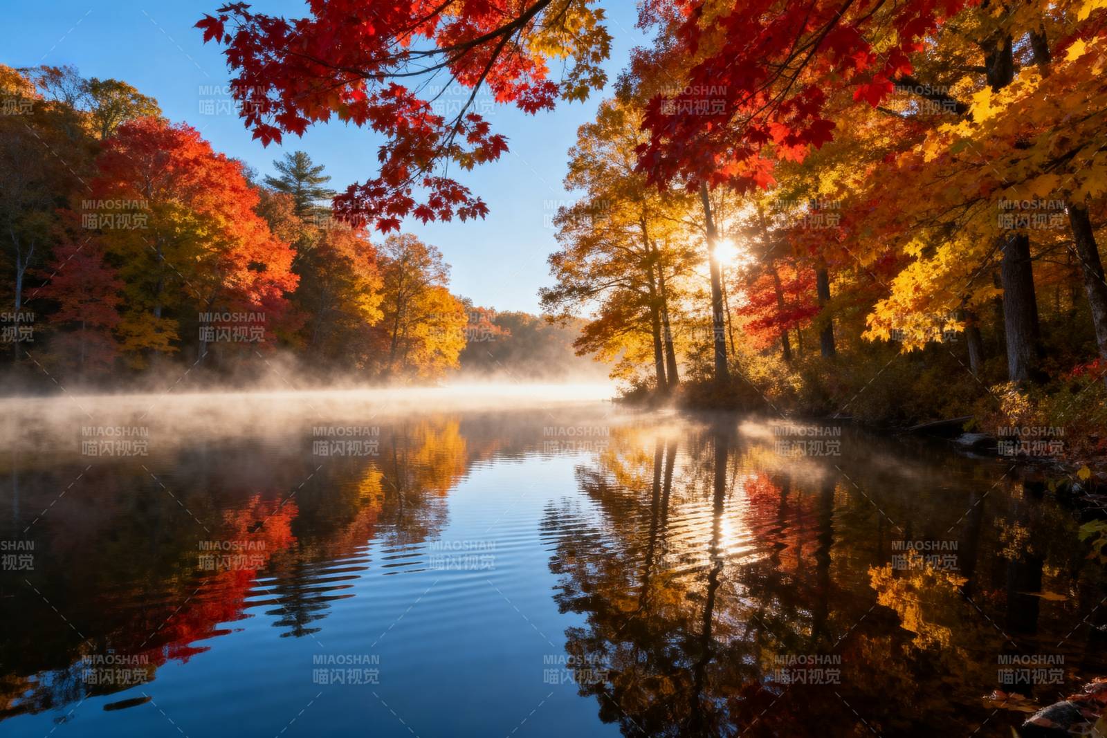 秋湖晨雾映彩林图片