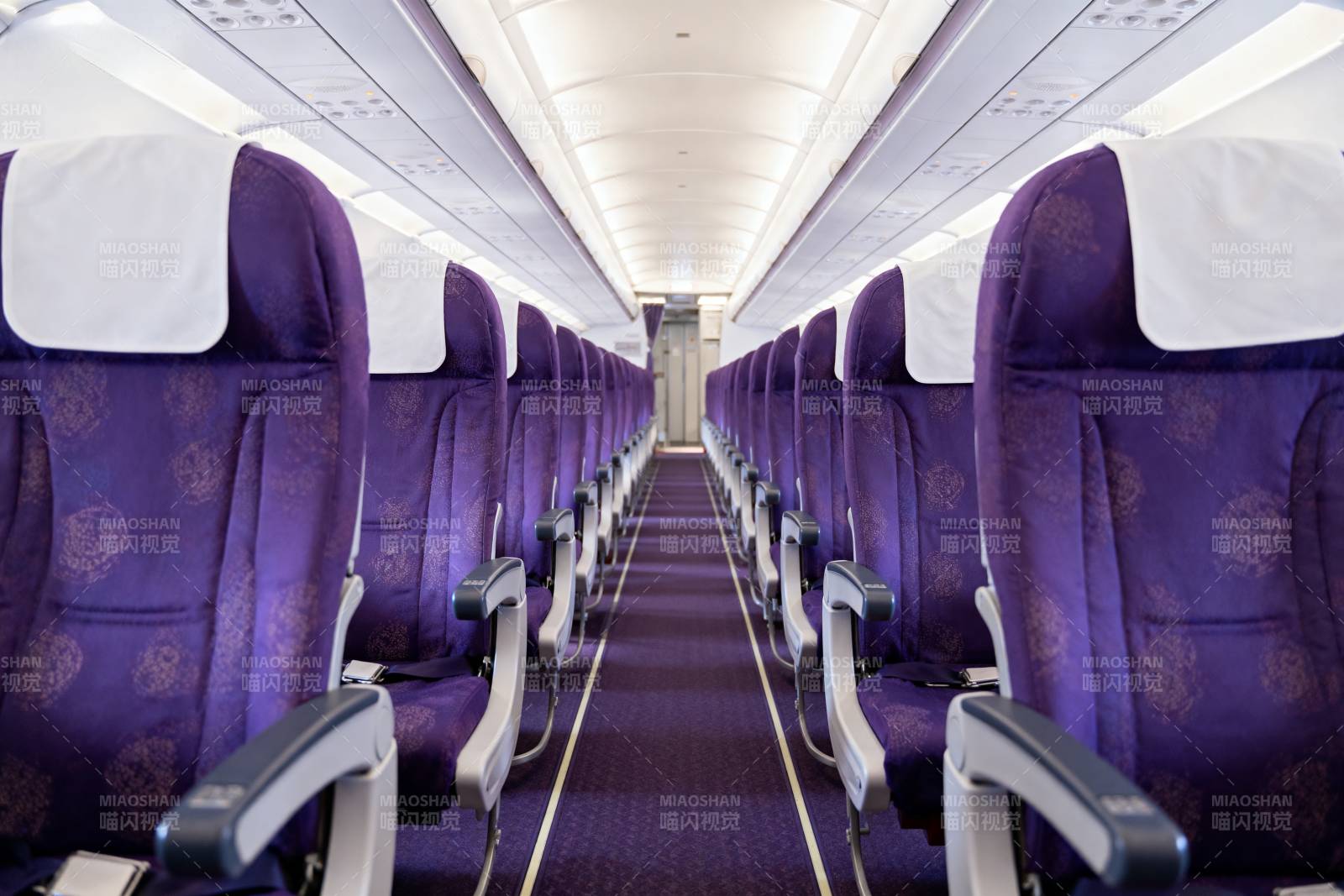 紫色机舱座椅排列图片