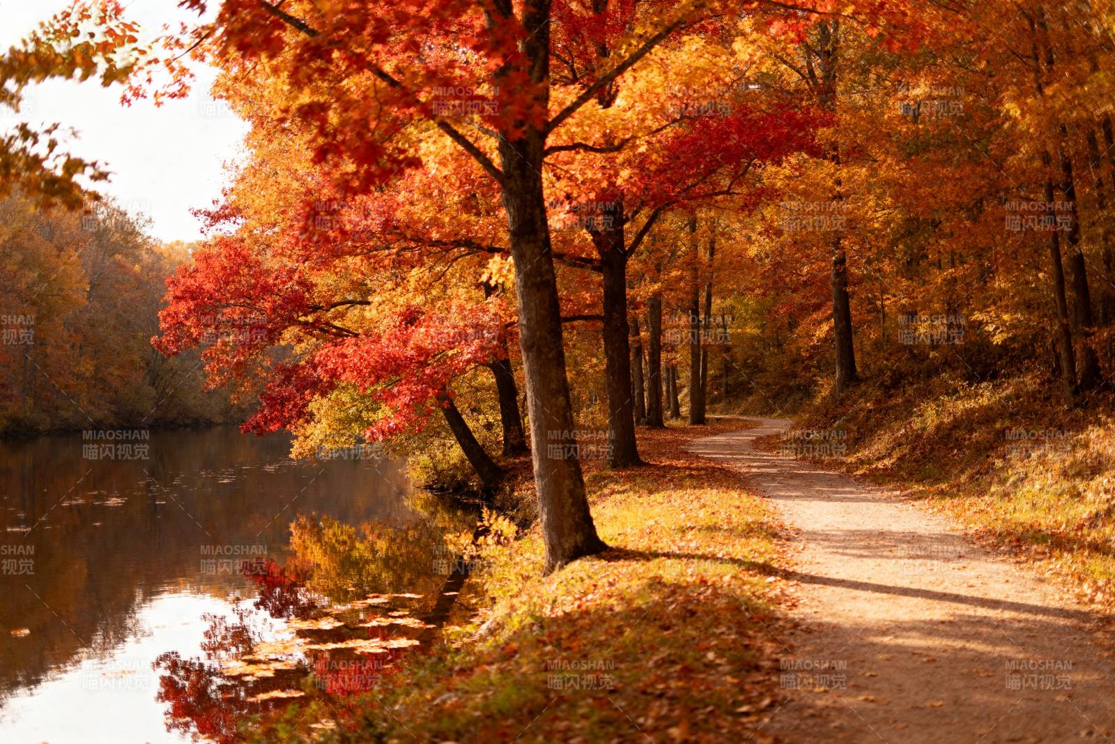秋日湖畔小径图片