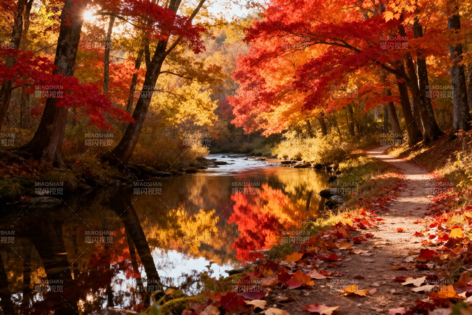 秋林溪径图片