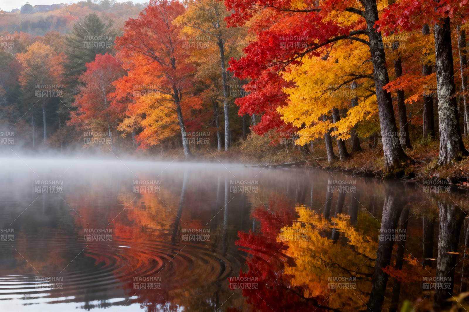 秋湖晨雾映彩林图片