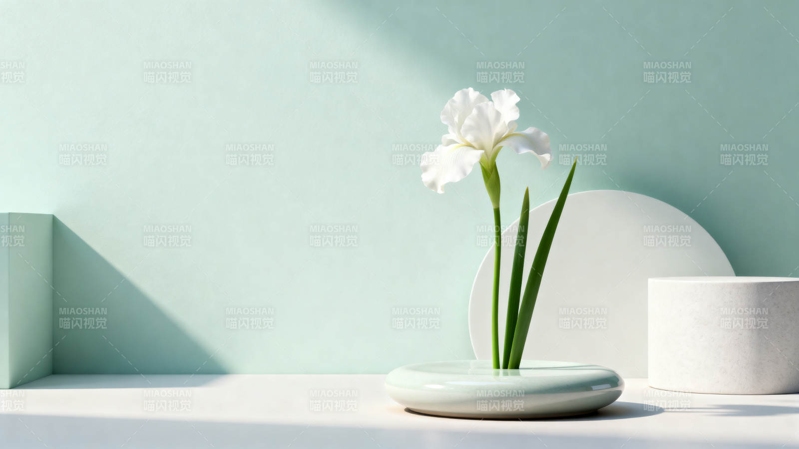 白花静置 简约之美图片