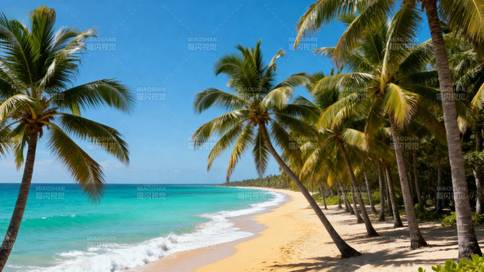 热带海滩风光图片