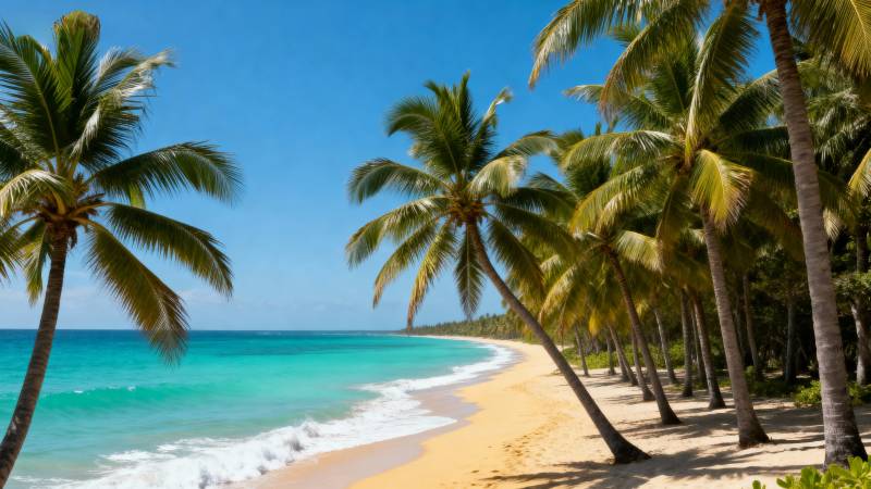 热带海滩风光图片