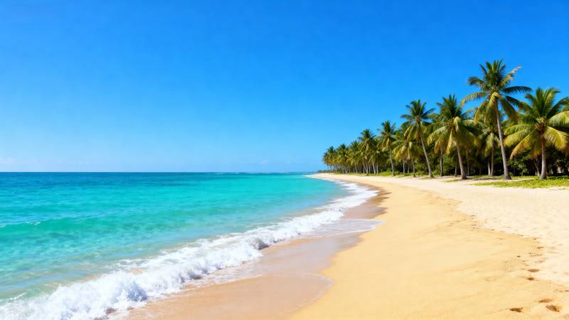 热带海滩风光图片