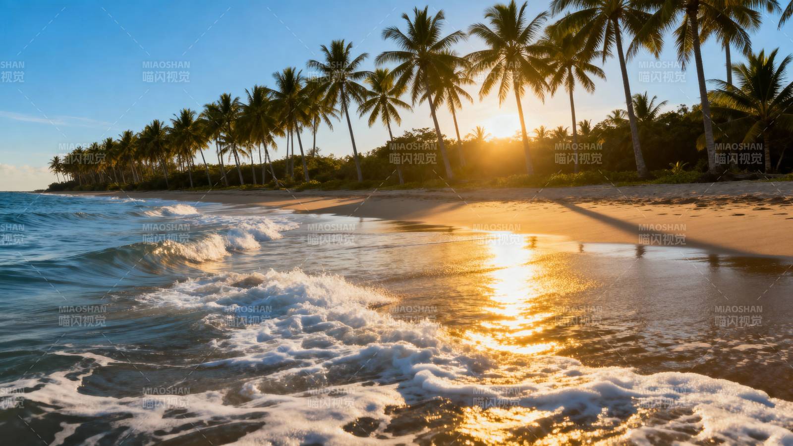 椰林海滩日落图片