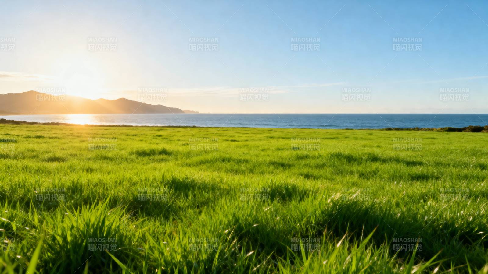 绿野晨光海景图片