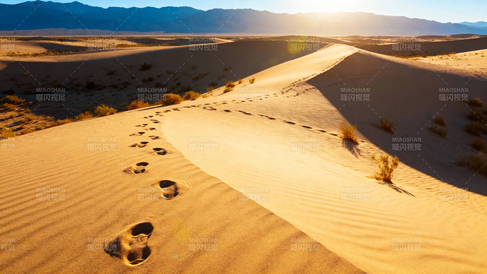 沙漠足迹夕阳下图片