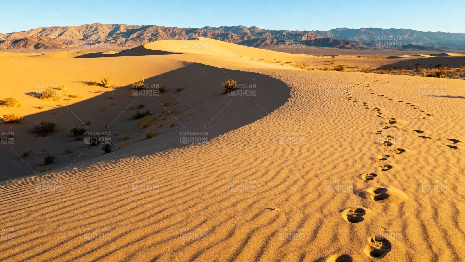 沙漠足迹图片