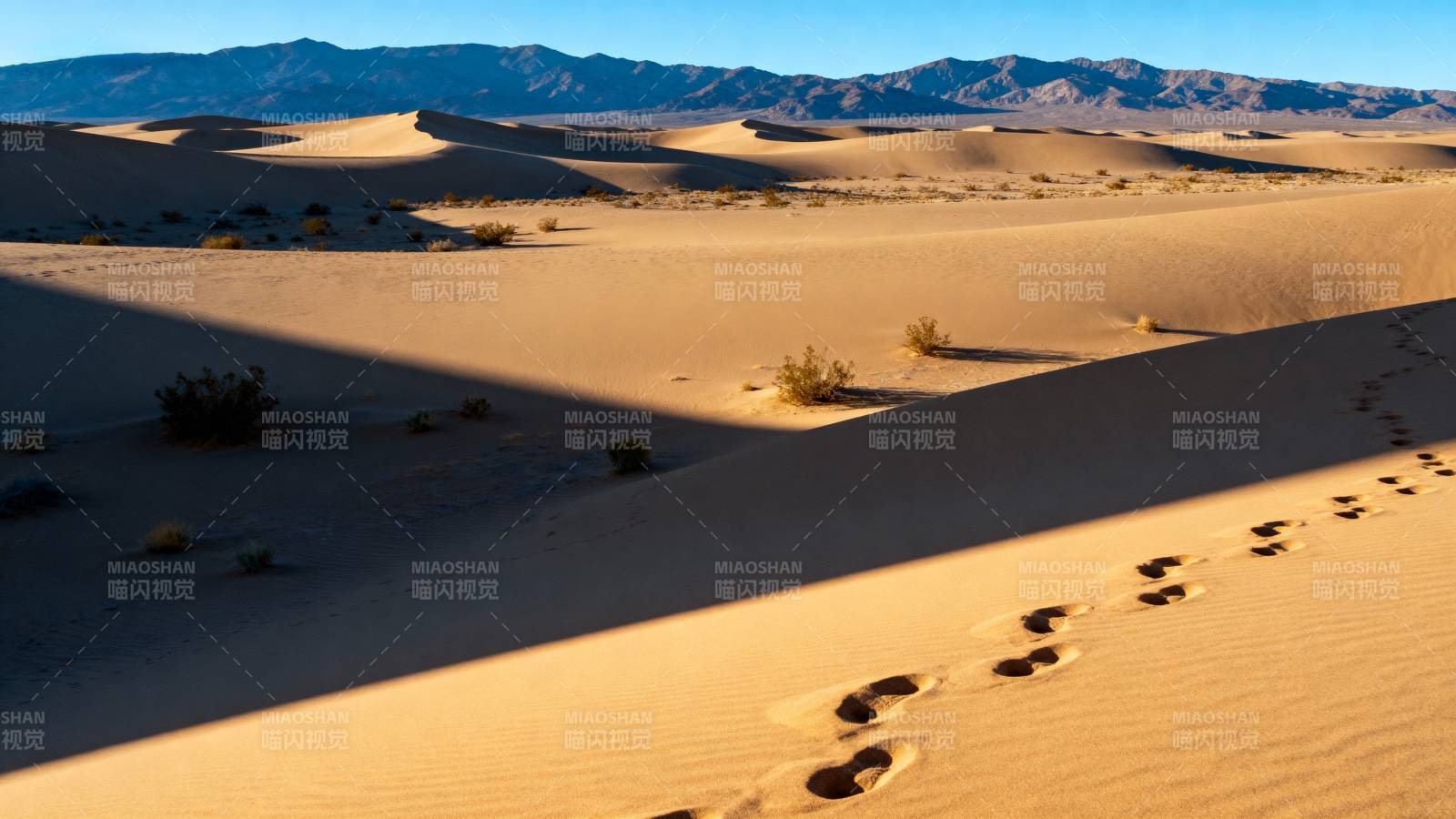 沙漠足迹图片