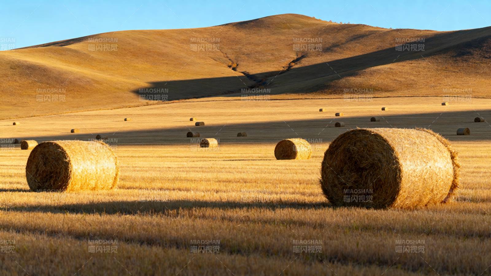金秋麦田草垛图片