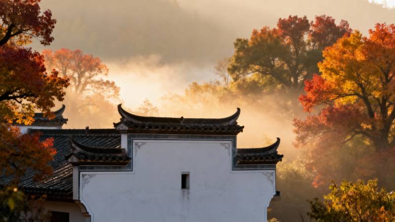 秋雾古村晨景图片