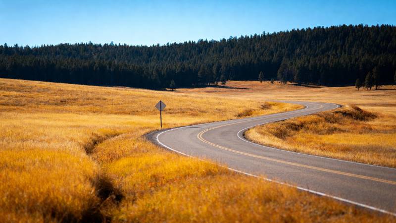 金秋公路蜿蜒前行图片