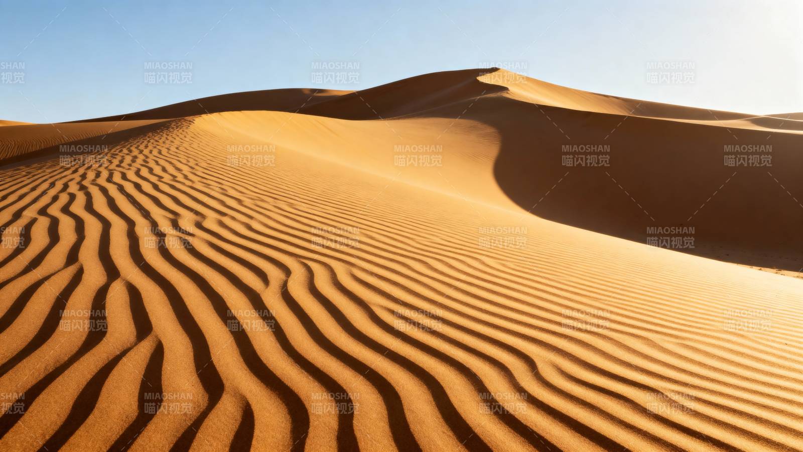 沙漠沙丘波纹图片