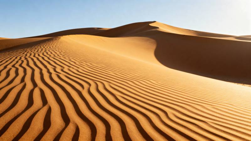 沙漠沙丘波纹图片