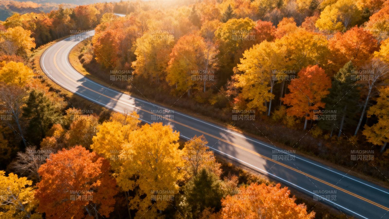 秋林公路美景图片