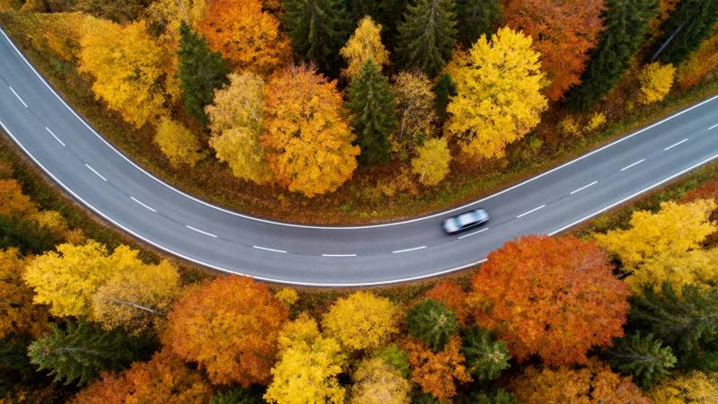 秋林曲道车行图片