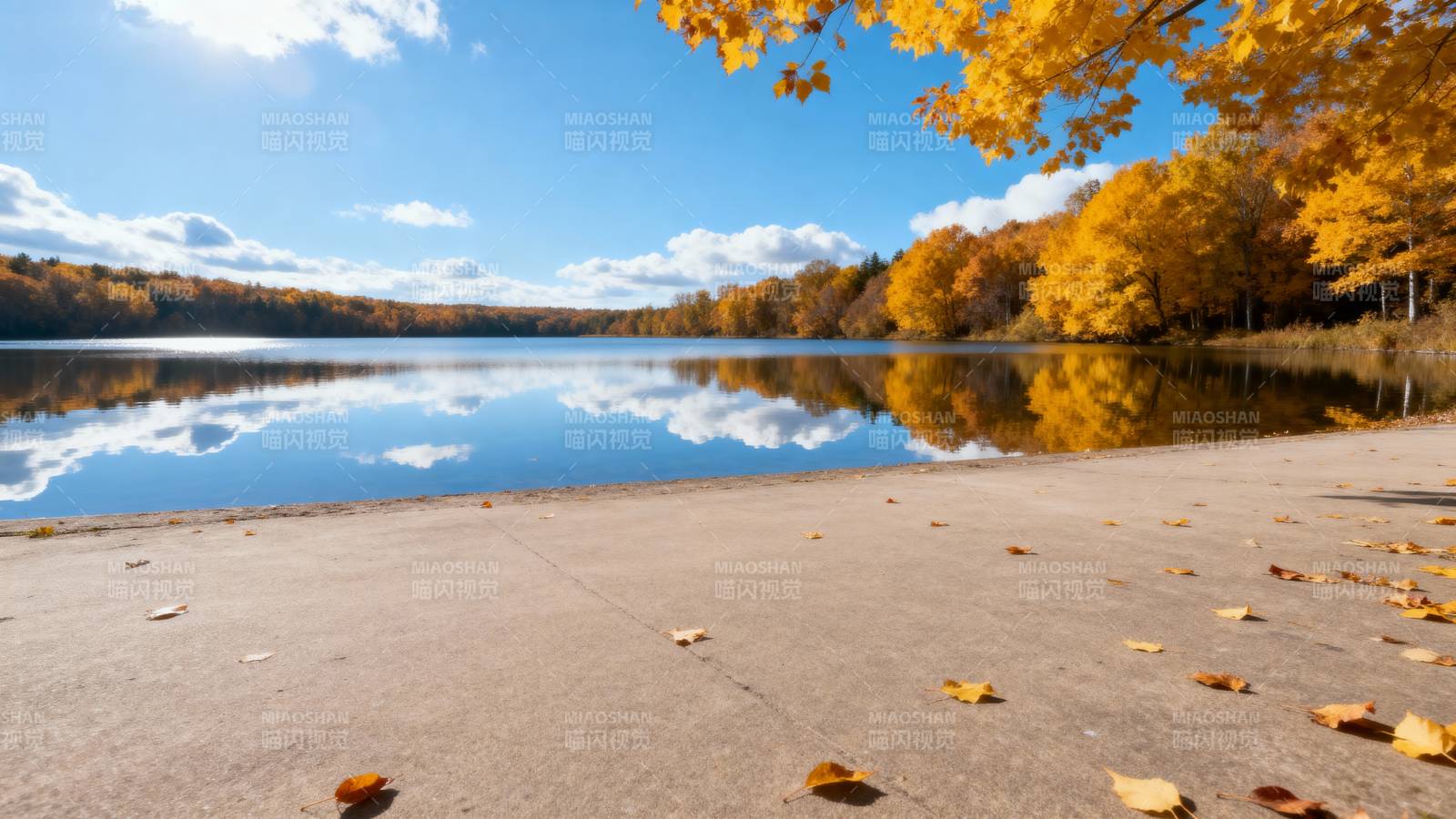秋湖静美 落叶纷飞图片