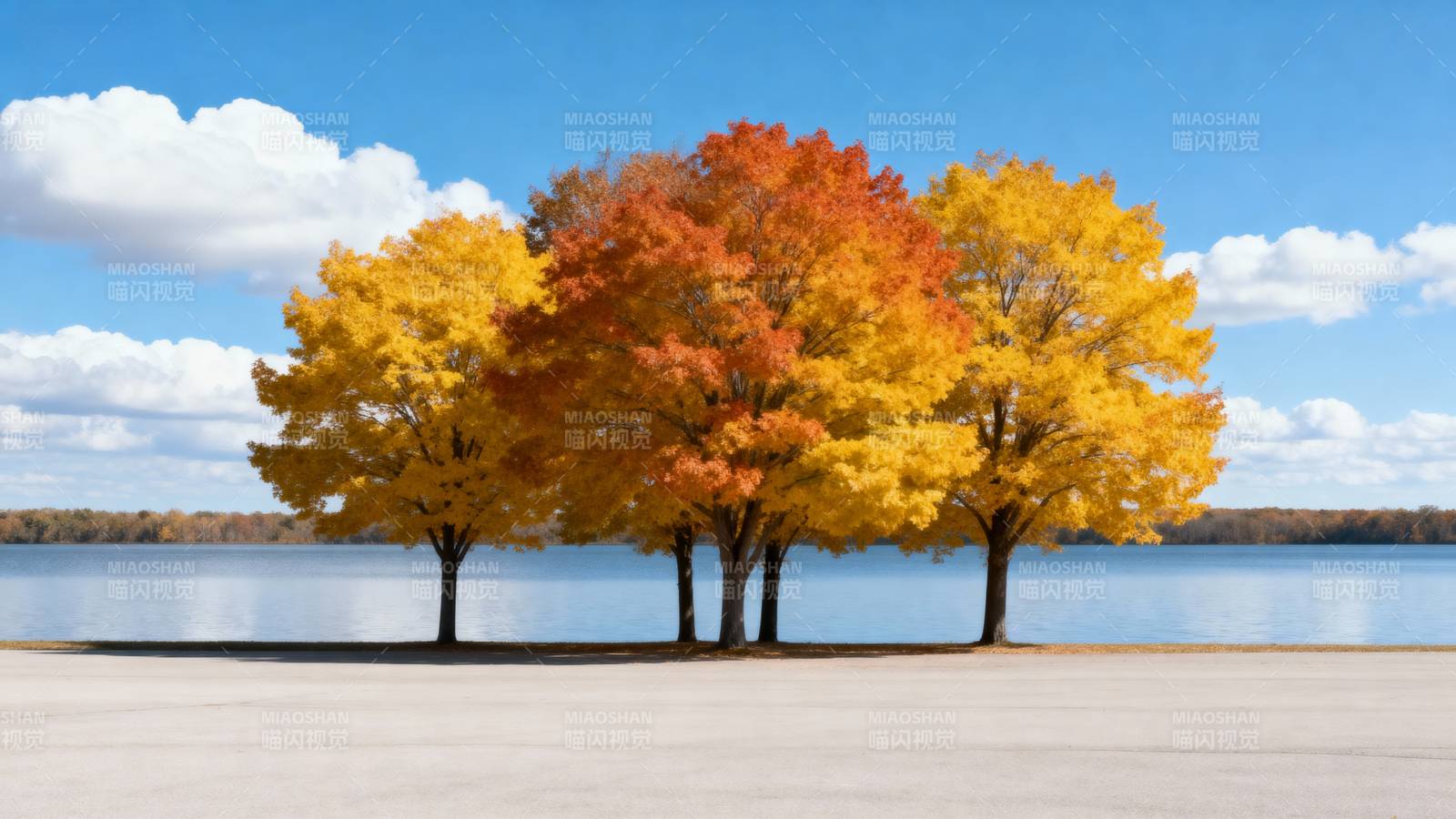 秋色湖畔树影图片