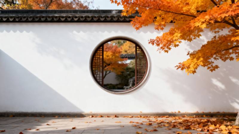 秋窗映枫影图片