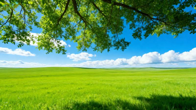 绿野晴空图片