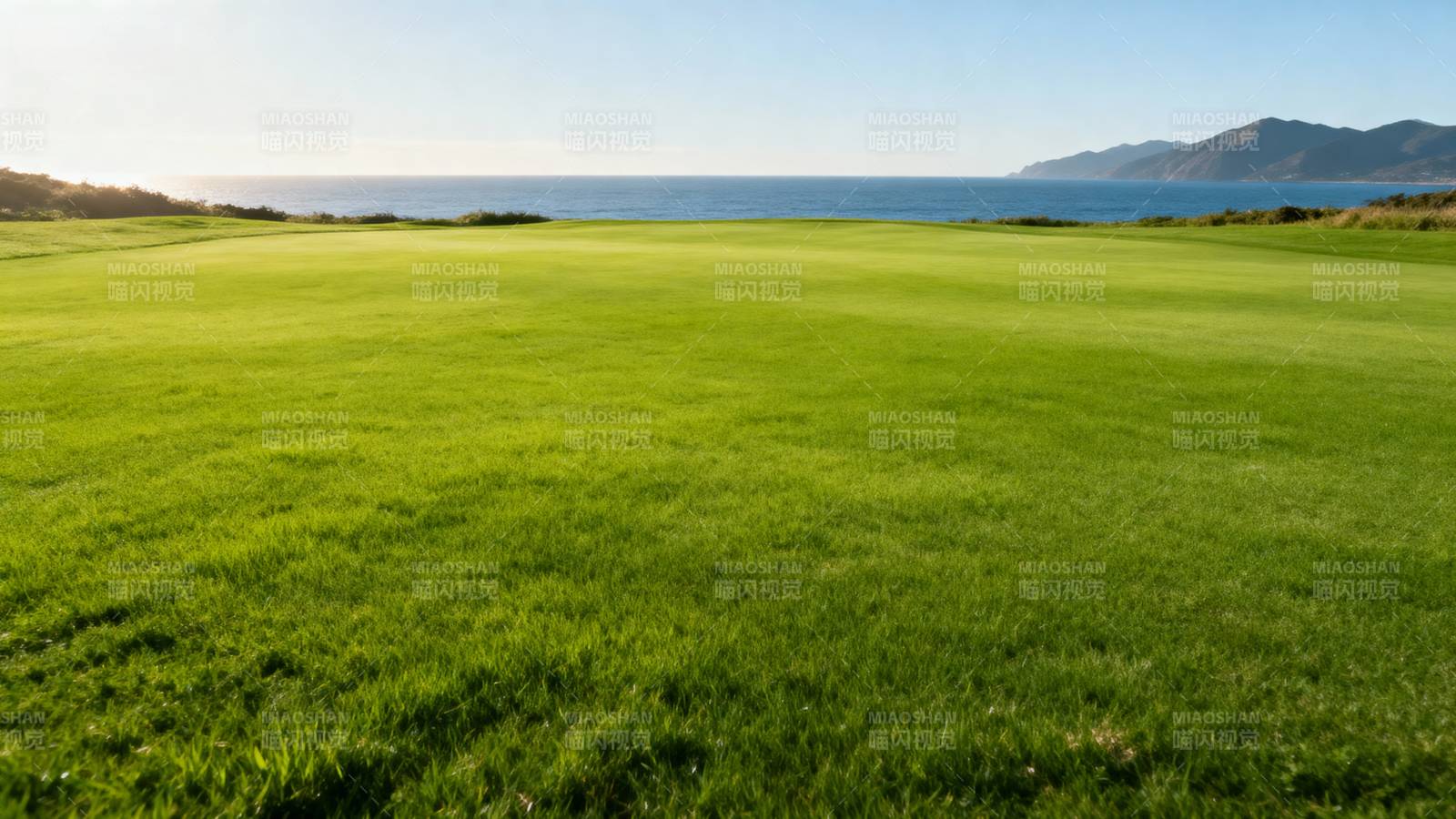 碧绿草原海景图图片
