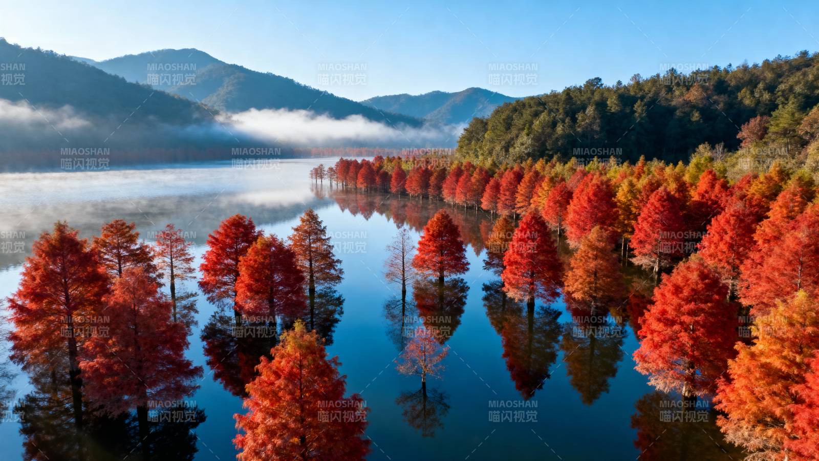 秋湖红林倒影图片