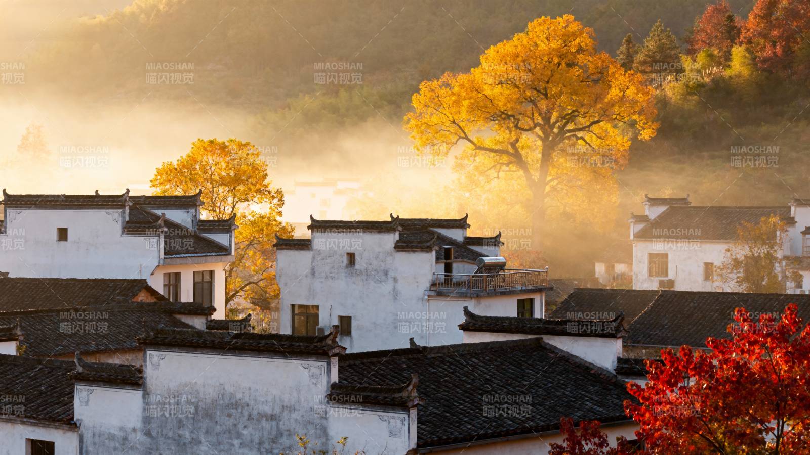秋雾古村晨曦图片