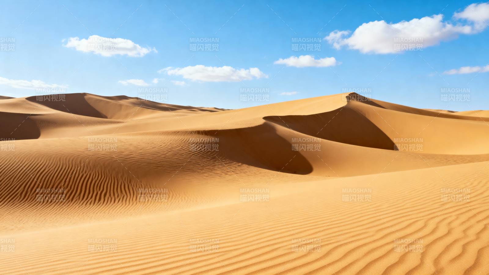 金色沙丘连绵起伏图片