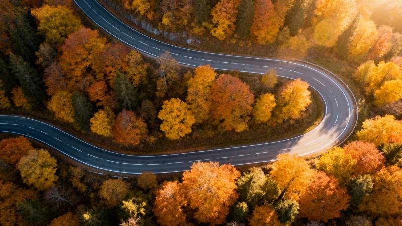 秋林蜿蜒路图片