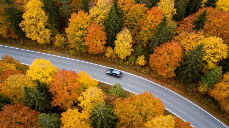 秋色斑斓的公路图片