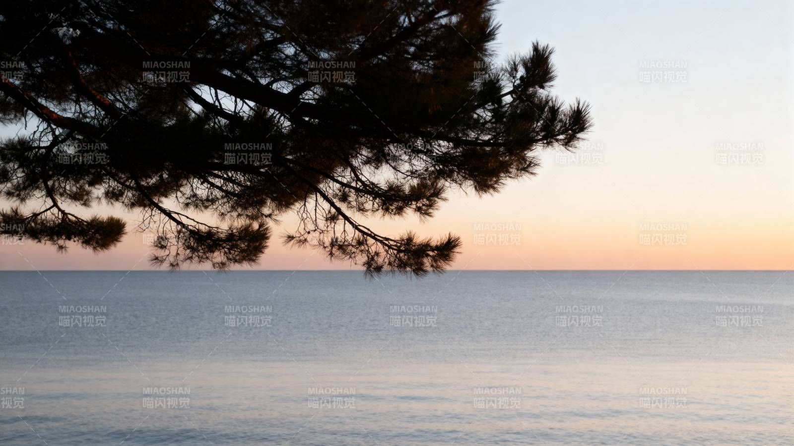 松枝映湖日落图片