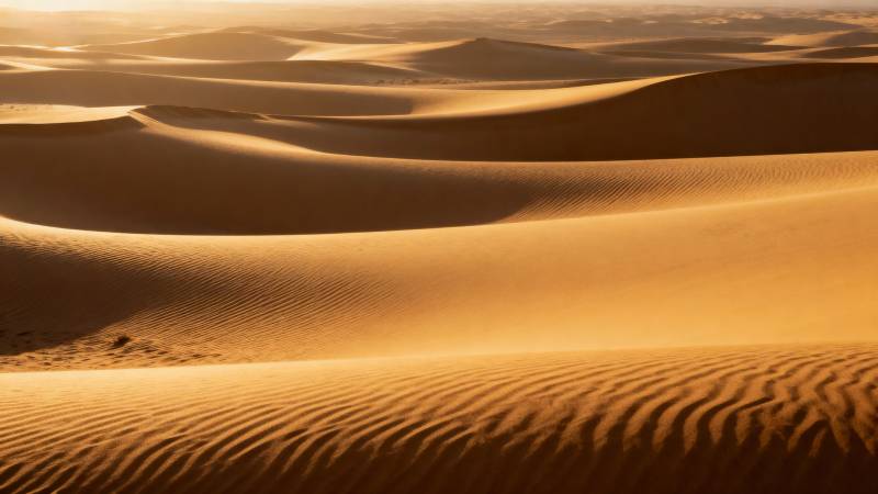 金色沙海波澜壮阔图片