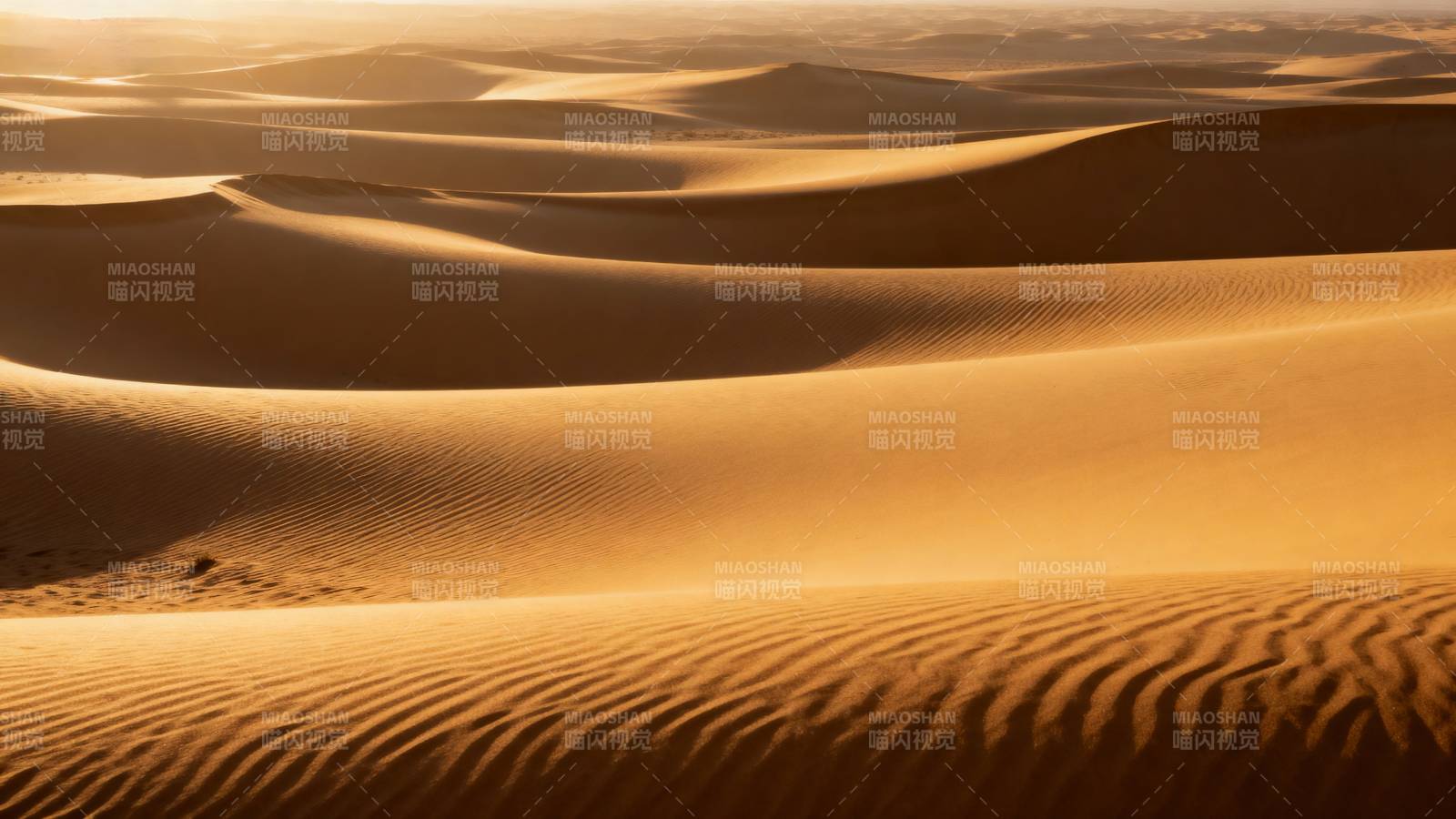 金色沙海波澜壮阔图片