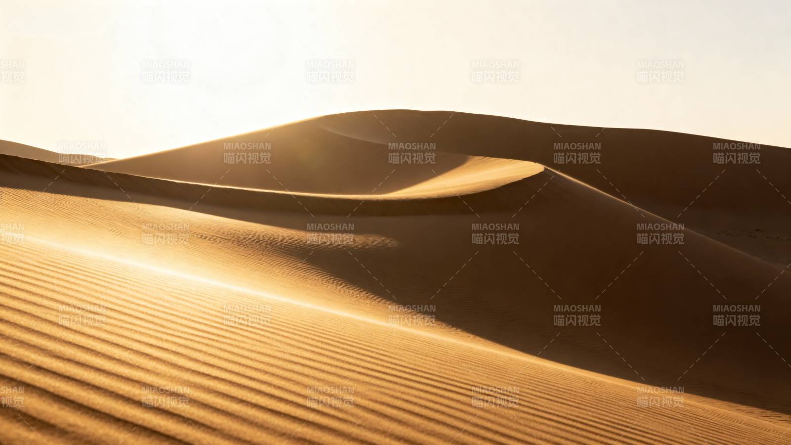 金色沙丘日出图片