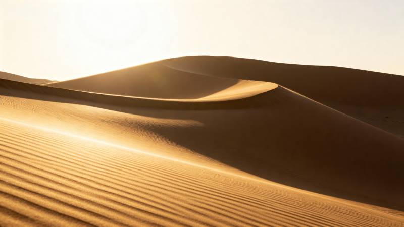 金色沙丘日出图片