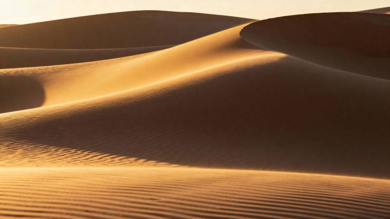 金色沙丘的韵律图片