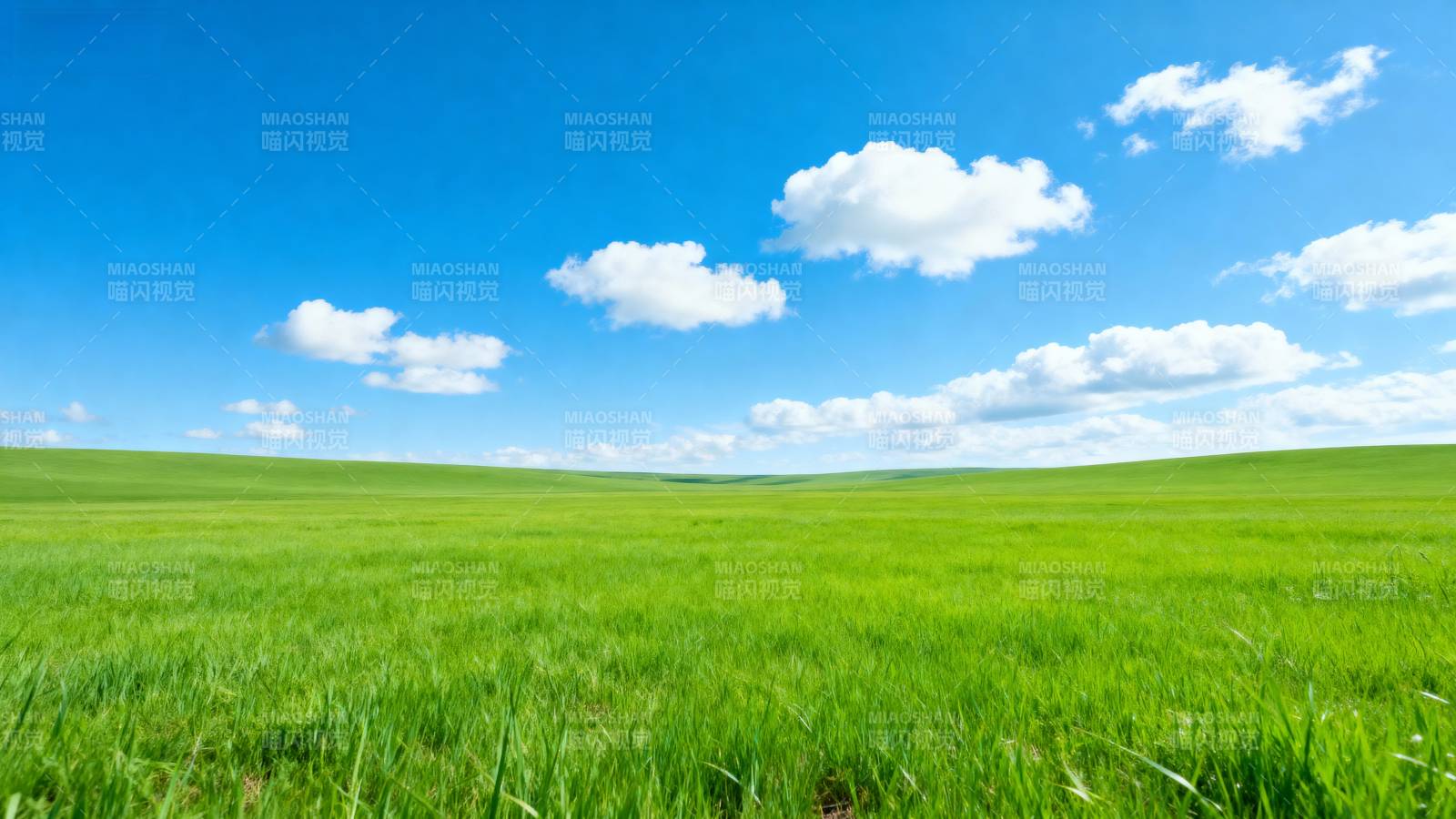 绿野蓝天白云图片