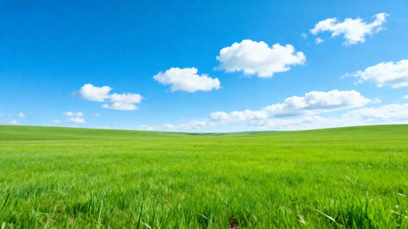 绿野蓝天白云图片