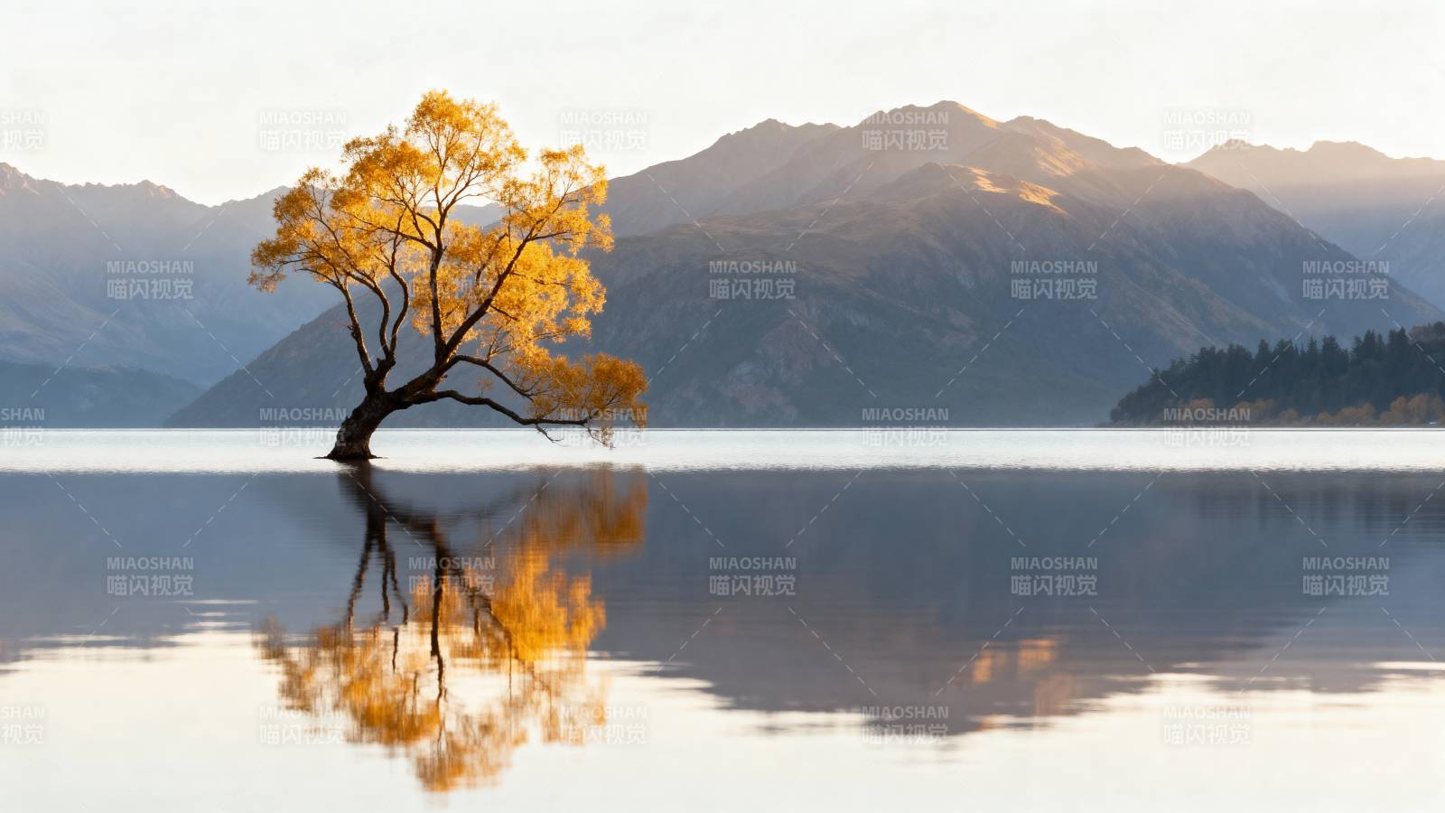 湖畔孤树映山色图片