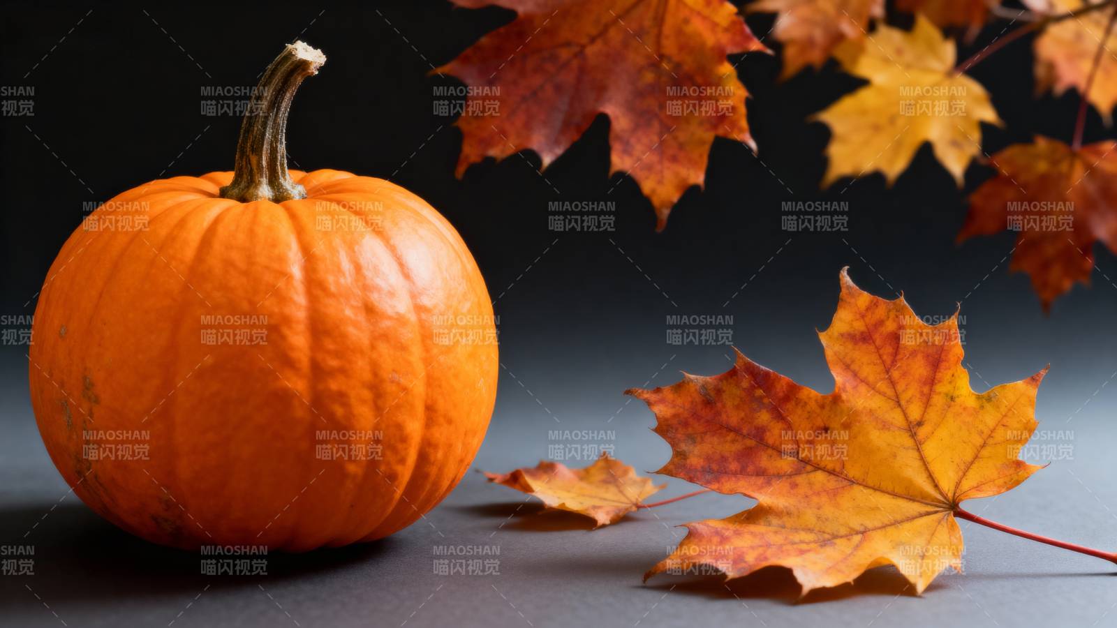 秋叶伴南瓜图片