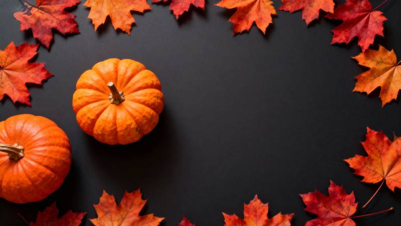 秋叶南瓜围黑底图片