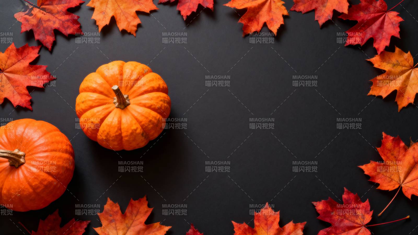 秋叶南瓜围黑底图片