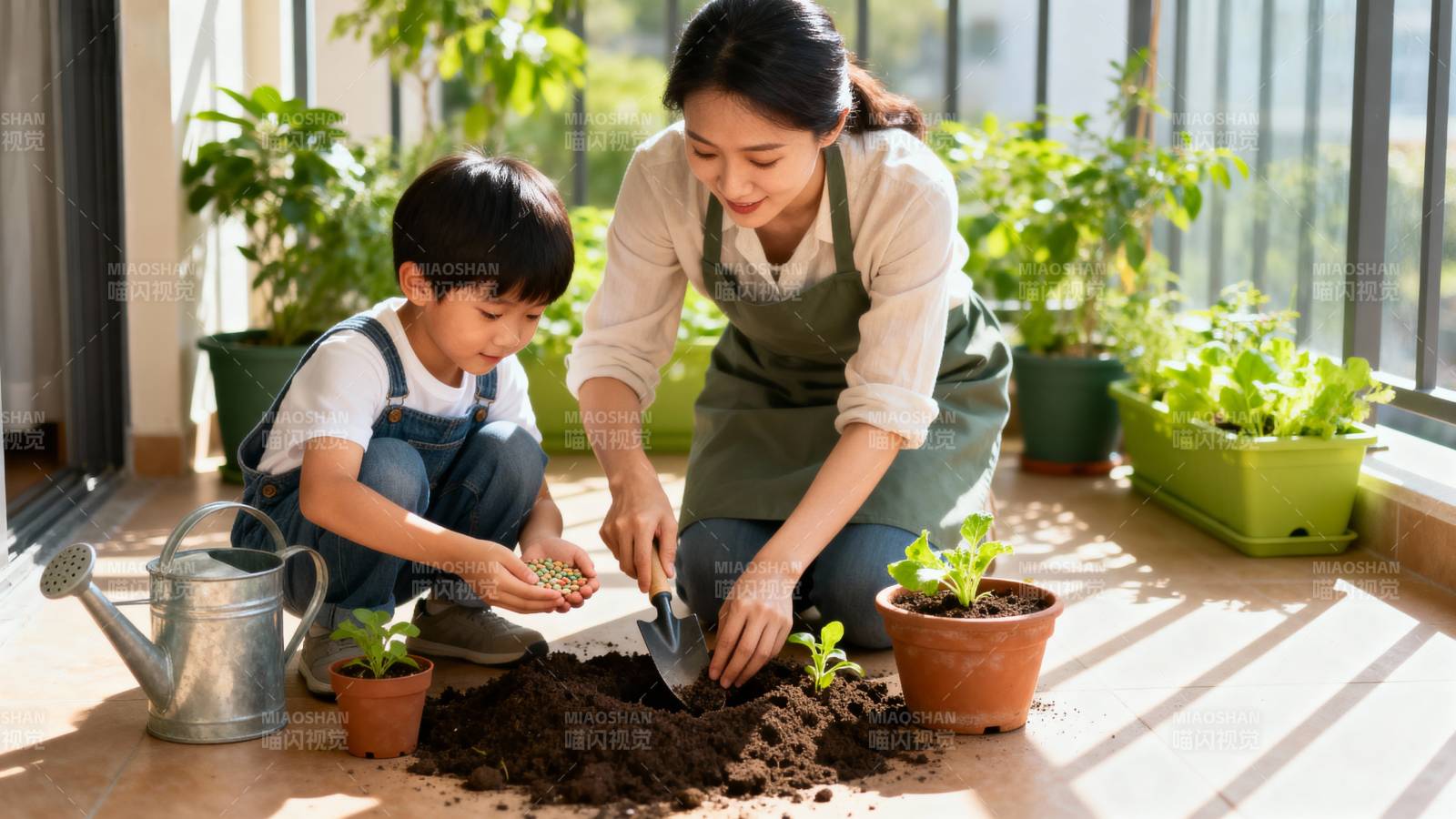 亲子种菜时光图片