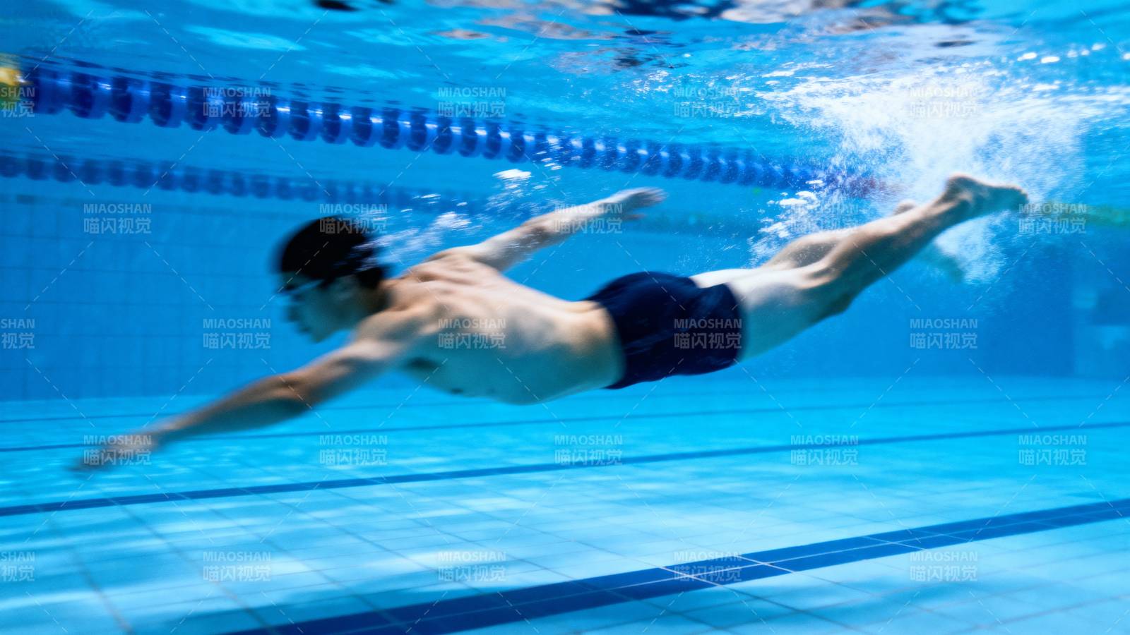 泳池中的自由泳瞬间图片