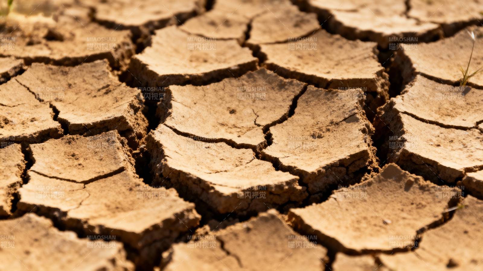 干裂的土地图片