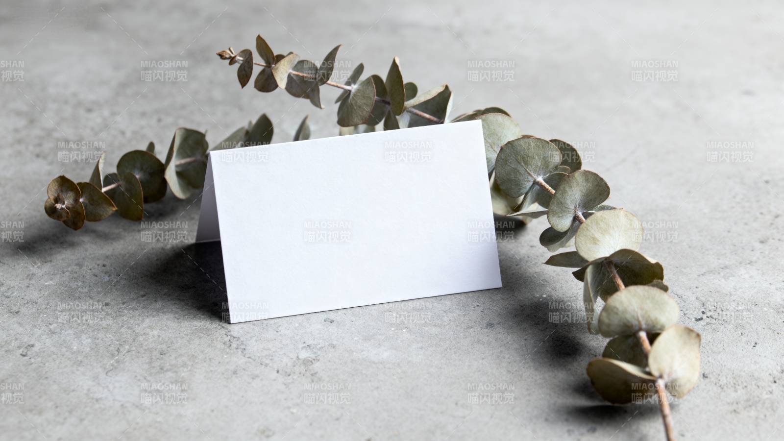 简约绿植卡片摆拍图片